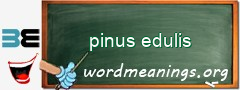 WordMeaning blackboard for pinus edulis